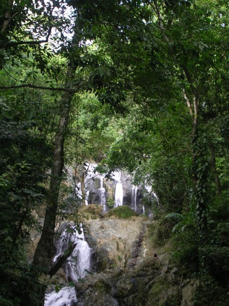 The trees part and the falls first come into view. 