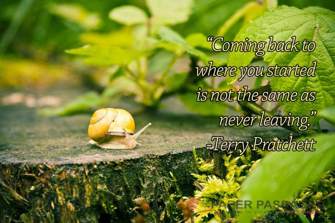 “Coming back to where you started is not the same as never leaving.” Terry Pratchett  