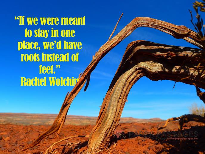 “If we were meant to stay in one place, we’d have roots instead of feet.” Rachel Wolchin          